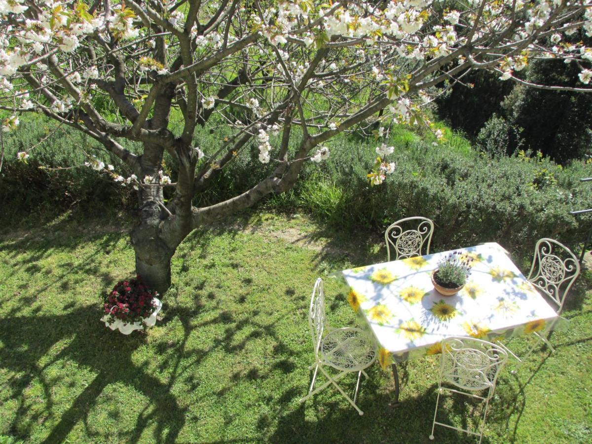 5 Terre - B&B La Giuditta - 斯培西亚 外观 照片