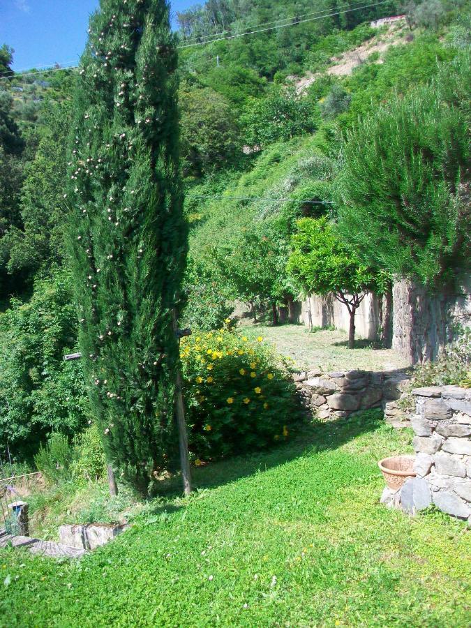 5 Terre - B&B La Giuditta - 斯培西亚 外观 照片