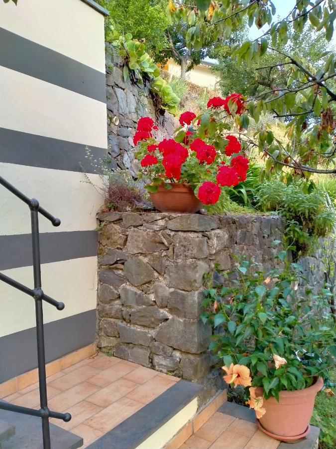 5 Terre - B&B La Giuditta - 斯培西亚 外观 照片