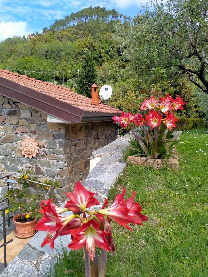5 Terre - B&B La Giuditta - 斯培西亚 外观 照片